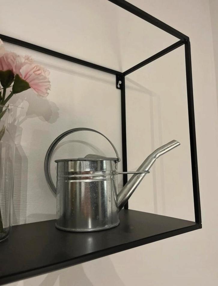 Kleine gieter, Tuin en Terras, Gieters, Zo goed als nieuw, Metaal, Ophalen of Verzenden