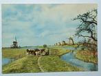 Alblasserdam  - Kinderdijk  ( Z.H. ) Molens werelderfgoed, Verzamelen, Ansichtkaarten | Nederland, Verzenden, 1960 tot 1980, Gelopen