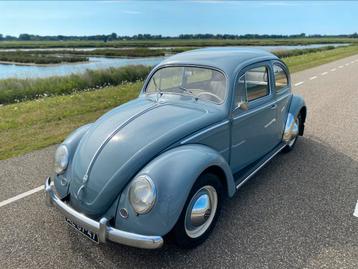 Volkswagen Ovaal Kever 1954 beschikbaar voor biedingen