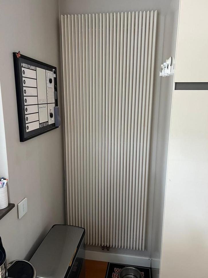 Design radiator voor droge of natte ruimte., Doe-het-zelf en Verbouw, Verwarming en Radiatoren, Gebruikt, Radiator, 800 watt of meer
