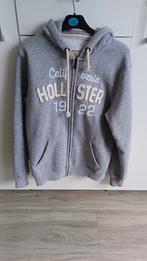 vest, Hollister, Ophalen of Verzenden, Nieuw, Grijs