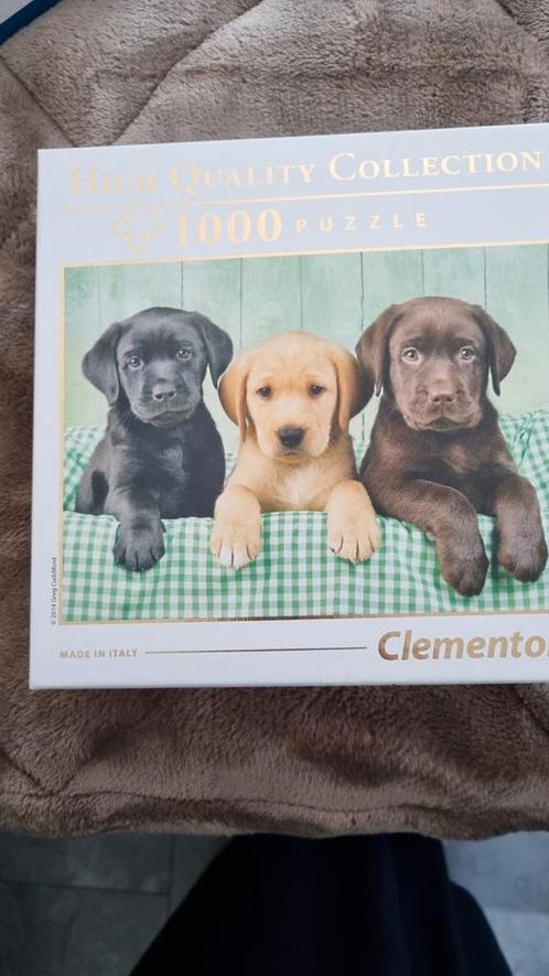 Three Labrador, Hobby en Vrije tijd, Overige Hobby en Vrije tijd, Nieuw, Ophalen of Verzenden