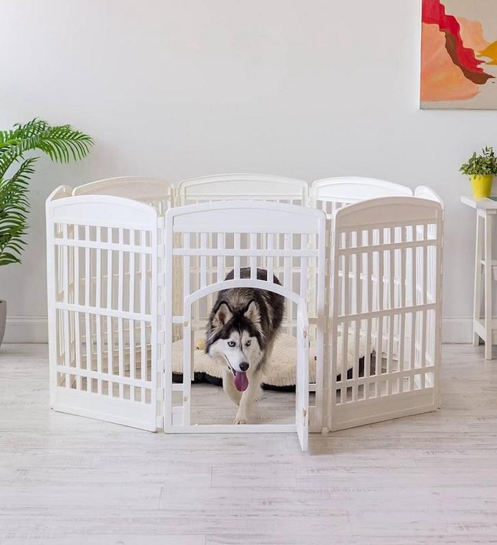 Puppyren Iris Ohyama, 8-panel housing 1 plastic door, Dieren en Toebehoren, Honden-accessoires, Zo goed als nieuw, Ophalen