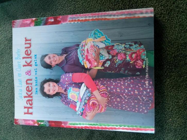 Saskia Laan - Haken en kleur, Boeken, Hobby en Vrije tijd, Zo goed als nieuw, Breien en Haken, Ophalen of Verzenden