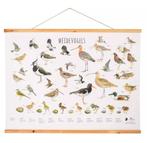 Wandposter - Weidevogels, Antiek en Kunst, Antiek | Schoolplaten, Ophalen of Verzenden, Natuur en Biologie