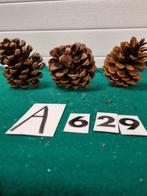Dennenappels groot drie stuks , [a629, Diversen, Kerst, Ophalen of Verzenden