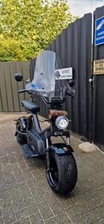 Elektrische Chopper GTS HL 4.0, Fietsen en Brommers, Snorfietsen en Snorscooters, Overige merken, Zo goed als nieuw, Ophalen