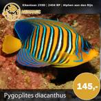 Zeevis, Vis, Zoutwatervis