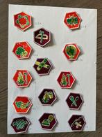 Vaardigheid badges, Ophalen of Verzenden, Zo goed als nieuw, Embleem, Speld of Insigne