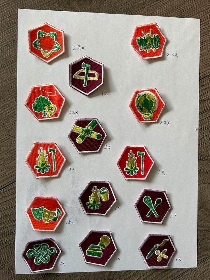 Vaardigheid badges, Verzamelen, Scouting, Zo goed als nieuw, Embleem, Speld of Insigne, Ophalen of Verzenden