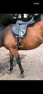 Zadel, veelzijdigheid, Thorowgood, 17,5 inch, Dieren en Toebehoren, Ophalen of Verzenden, Gebruikt