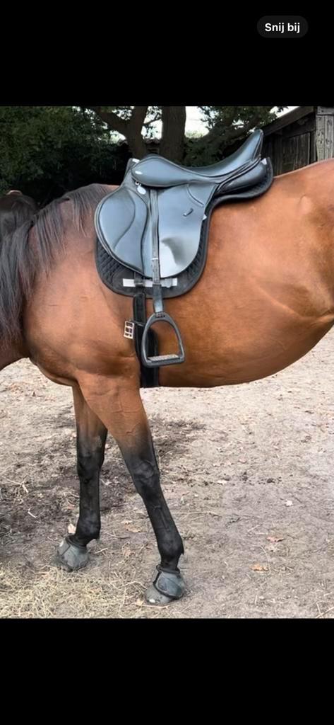 Zadel, veelzijdigheid, Thorowgood, 17,5 inch, Dieren en Toebehoren, Paarden en Pony's | Overige Paardenspullen, Gebruikt, Ophalen of Verzenden