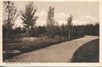 Groningen- -Stadspark., Verzenden, 1920 tot 1940, Gelopen, Groningen