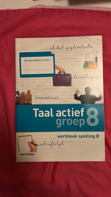 G. Peeters - Werkboek  spelling gr 8 beschikbaar voor biedingen