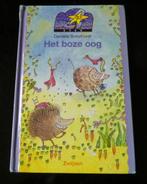 het boze oog, isbn:9027631662, Boeken, Ophalen of Verzenden, Gelezen, Danielle schothorst, Non-fictie