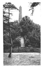 80404 Pyramide van Austerlitz Utr 1955 Leuke oude kaart