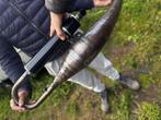 Gezocht: Gescheurde Uitlaat 125/180cc 52slag, Ophalen of Verzenden