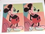Andy Warhol Dubble Mickey Red. Geautoriseerde Uitgave, Antiek en Kunst, Kunst | Litho's en Zeefdrukken, Ophalen of Verzenden