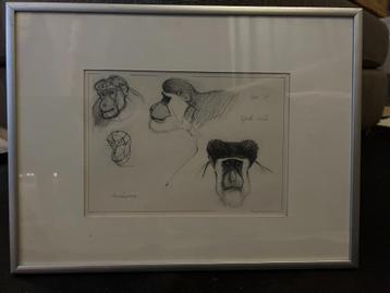 Schilderij Studie van Apen - Wilfried Geerts beschikbaar voor biedingen