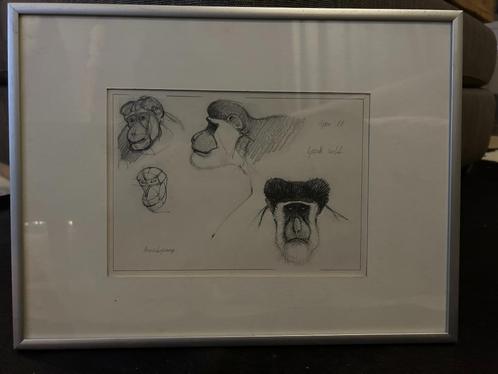 Schilderij Studie van Apen - Wilfried Geerts, Antiek en Kunst, Kunst | Schilderijen | Modern, Ophalen of Verzenden