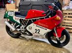 Ducati, classic racer, 750ss, caferacer, battle of twins, F1, 750 cc, 2 cilinders, Motorrijbewijs A, Particulier