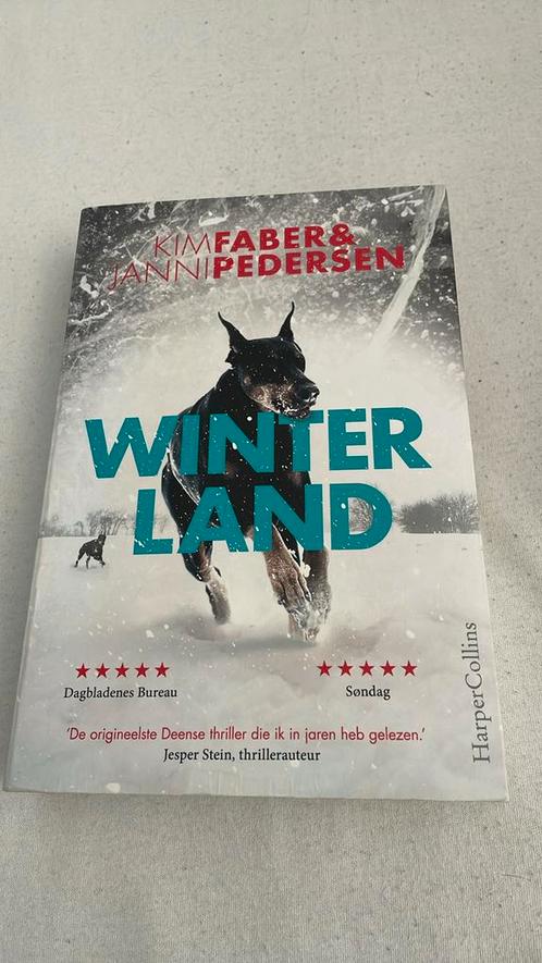 Kim Faber - Winterland, Boeken, Thrillers, Zo goed als nieuw, Scandinavië, Ophalen of Verzenden