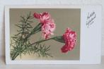 Antieke kaart met anjer, Natuur, Gebruikt, Foto, Ophalen of Verzenden