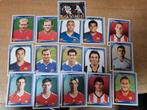 Voetbalplaatjes Panini Champions League 2008/2009, Ophalen of Verzenden, Zo goed als nieuw, Buitenlandse clubs, Poster, Plaatje of Sticker