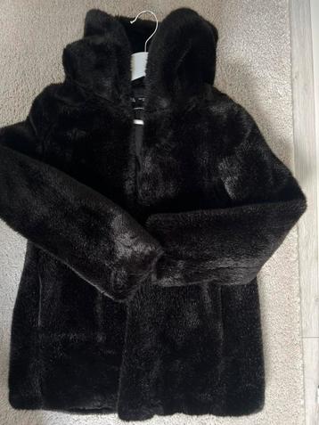 Zara fluffy jack beschikbaar voor biedingen