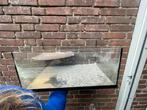 Schildpaddenbak aquarium, Ophalen, Gebruikt, Leeg aquarium