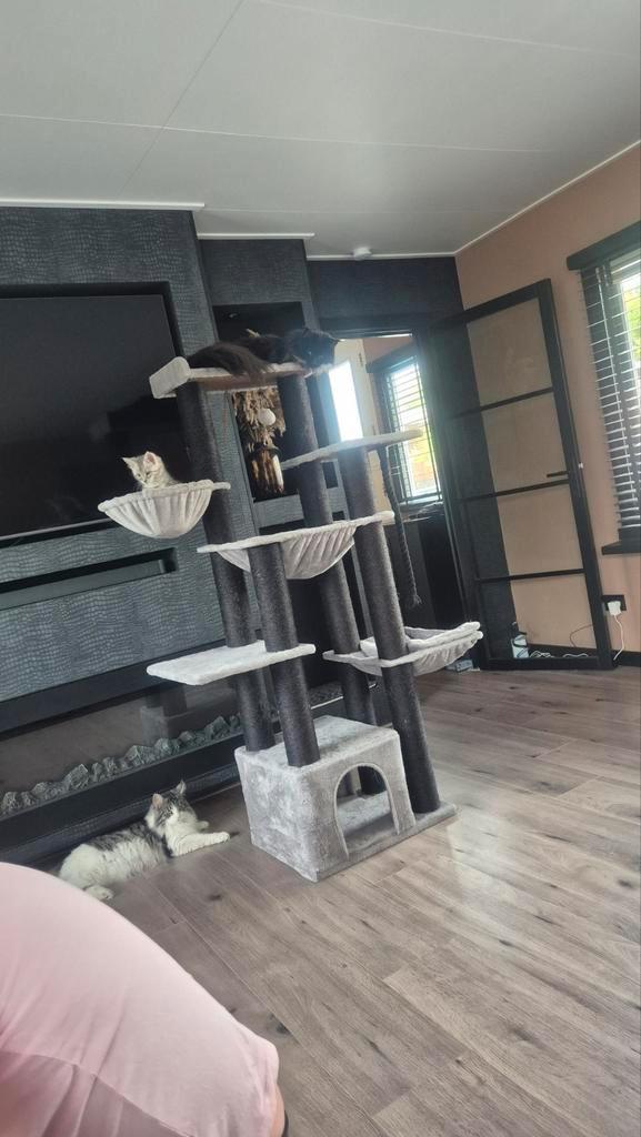 Mooie grote krabpaal 1.70 hoog, Dieren en Toebehoren, Krabmeubelen, Zo goed als nieuw, Krabpaal, Ophalen