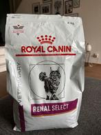 Royal Canin renal select dieetvoer, Dieren en Toebehoren, Ophalen, Kat