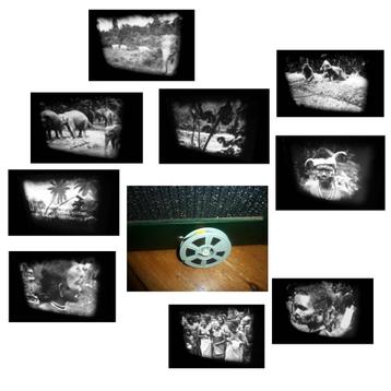 8mm film Borneo - Olifanten - 1935 - zw/w - silent N8 45mtr beschikbaar voor biedingen
