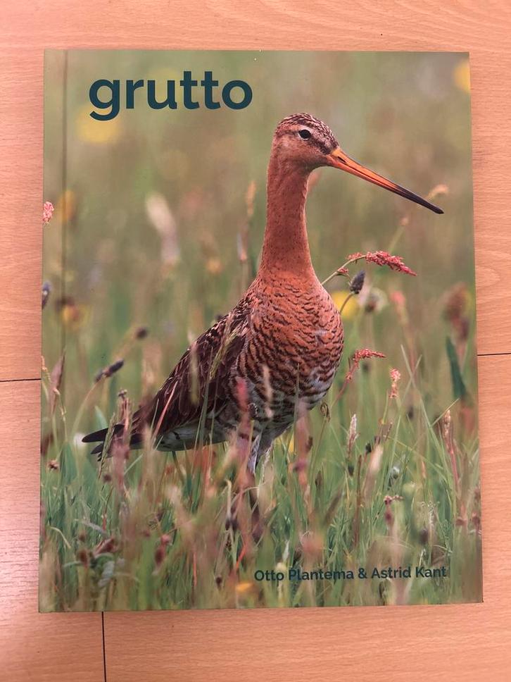 Grutto - Otto Plantema & Astrid Kant, Boeken, Natuur, Gelezen, Vogels, Verzenden