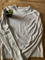 Tommy Hilfiger Trui Grijs - Goede Staat, Kleding | Heren, Truien en Vesten, Verzenden, Zo goed als nieuw, Grijs