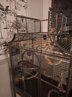 Vogelkooi, Ophalen, Zo goed als nieuw, Metaal, Vogelkooi