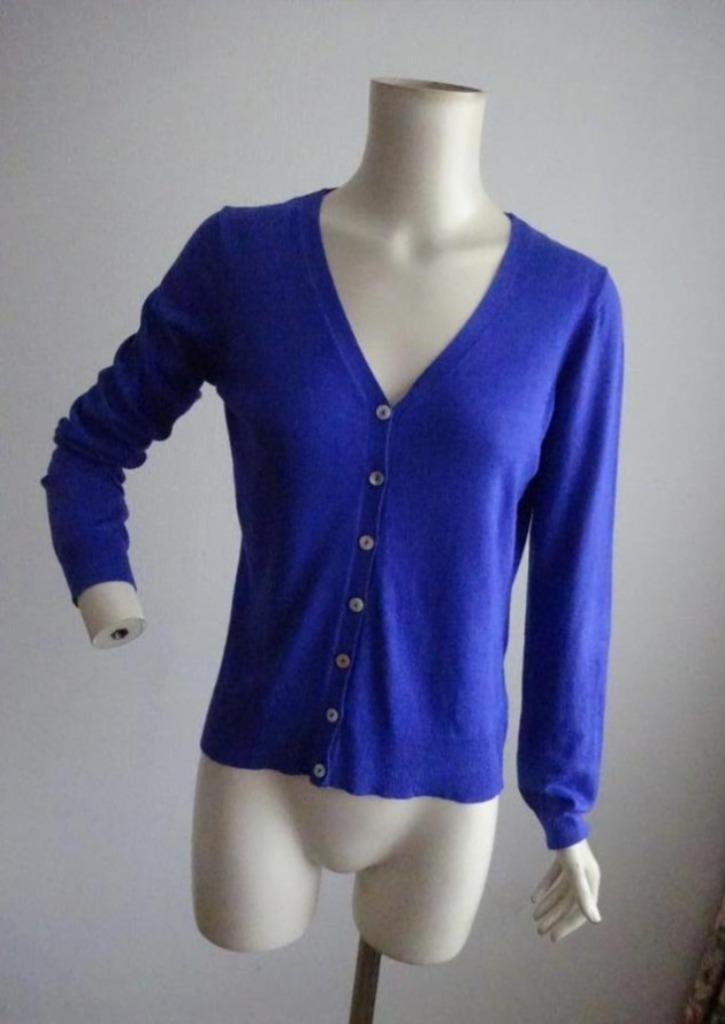 Zilch vest maat M, Kleding | Dames, Truien en Vesten, Zo goed als nieuw, Maat 38/40 (M), Blauw, Ophalen of Verzenden