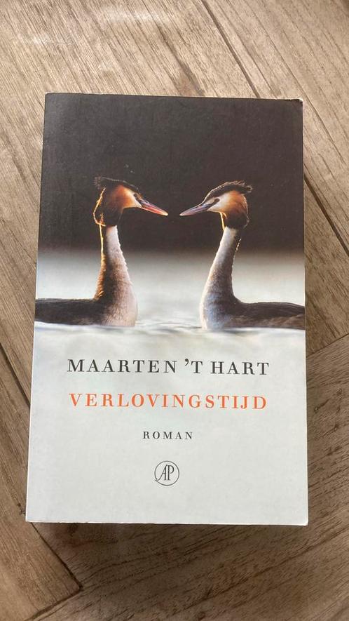 Maarten 't Hart - Verlovingstijd, Boeken, Literatuur, Gelezen, Nederland, Ophalen of Verzenden