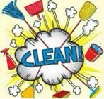 Huishoudelijke hulp aangeboden, Vacatures, Vacatures | Schoonmaak en Facilitaire diensten, 33 - 40 uur, Vanaf 10 jaar, Overige vormen