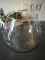 Bloemen vaas, Overige kleuren, Ophalen of Verzenden, Minder dan 50 cm, Glas