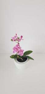 Mooie orchidee, Huis en Inrichting, Woonaccessoires | Kunstplanten en Kunstbloemen, Ophalen of Verzenden, Zo goed als nieuw