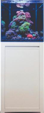 Blue marine 125 liter zeeaquarium compleet, Dieren en Toebehoren, Ophalen, Gebruikt, Gevuld zeewateraquarium