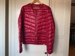 Wijnrood jasje van Amisu, Kleding | Dames, Maat 38/40 (M), Nieuw, Ophalen of Verzenden, Jasje