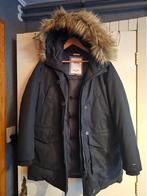 Tommy Hilfiger Winterjas XL, Kleding | Dames, Jassen | Winter, Ophalen of Verzenden, Zo goed als nieuw, Zwart