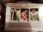 3 Sultana Vipcards, Verzamelen, Ophalen of Verzenden, Nieuw, PSV, Poster, Plaatje of Sticker
