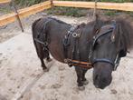 Pony men tuig, Dieren en Toebehoren, Ophalen of Verzenden