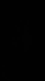 2 spro aasjes, Watersport en Boten, Hengelsport | Roofvissen, Ophalen of Verzenden