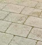 Teras/Tuin reiniging omgeving Vleuten, Tuin en Terras, Bestrijdingsmiddelen, Ophalen, Aanslagreiniger