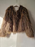 Nieuwe Nukus jas mt L, Kleding | Dames, Nukus, Ophalen of Verzenden, Nieuw, Maat 42/44 (L)