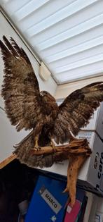 Op gezette vogel, Dieren en Toebehoren